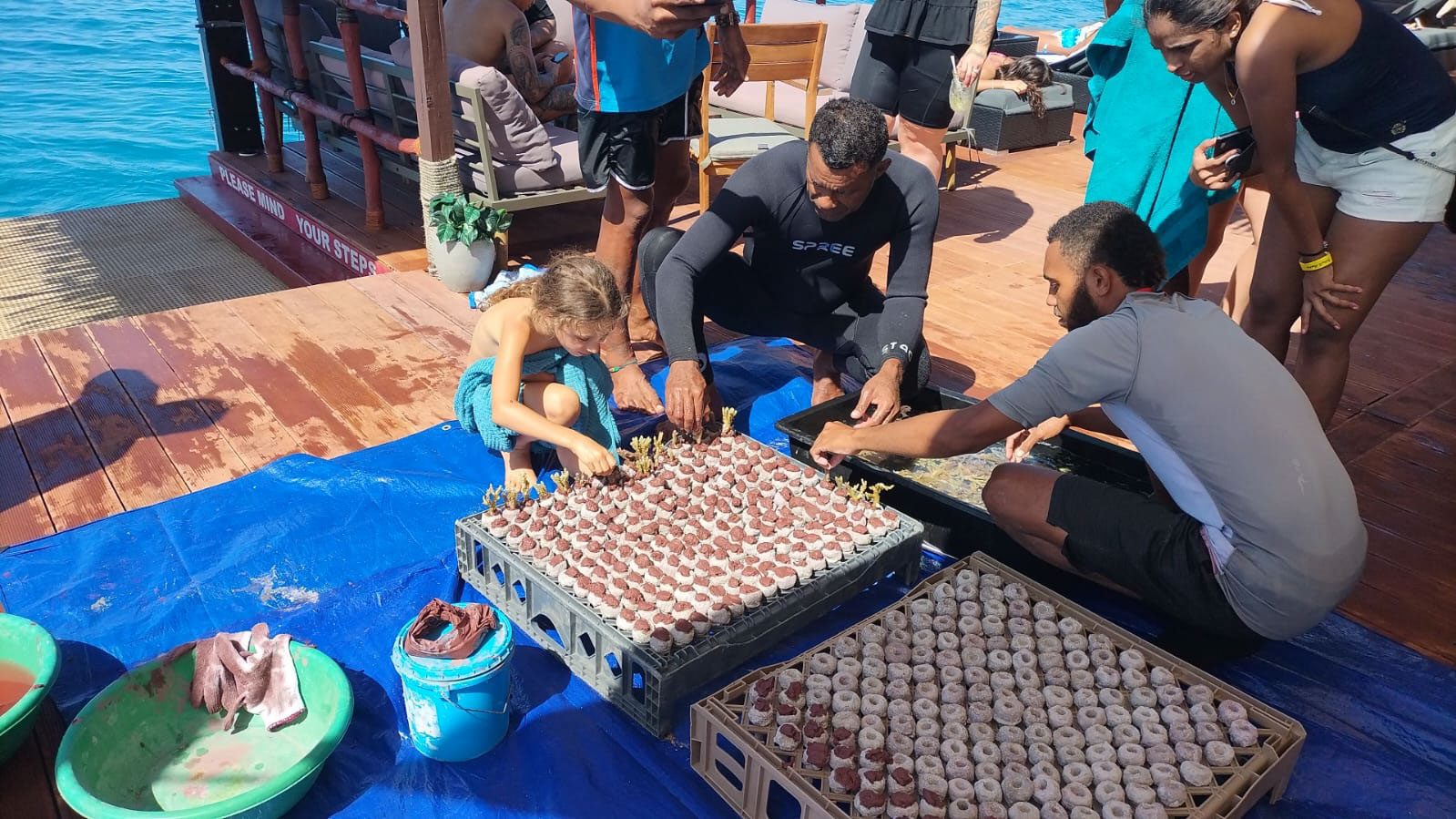 Fijian staff guiding tourist kids in planting ocean plants at Seventh Heaven